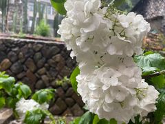 -MOJ coffee(瓯海泽雅水碓坑店)