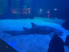 -常州海昌海洋探索馆
