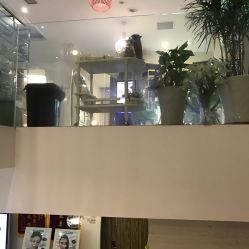 -比华利美容医院