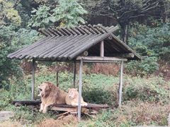 -宁波野生动物园