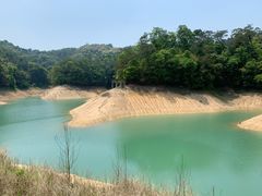 -广州市流溪河国家森林公园