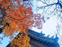 -妙峰山风景名胜区