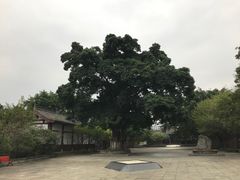 -川北道署