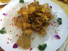 -达吾手抓美食城总部(义乌店)