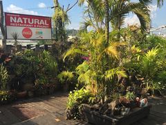 -自然餐厅(Phuket)