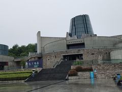 -龙泉青瓷博物馆