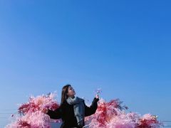 -WFC会仙楼观景台