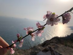 -燕窝岭