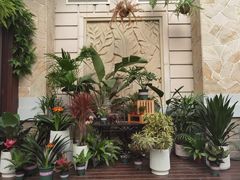 -厦门日月谷温泉渡假村