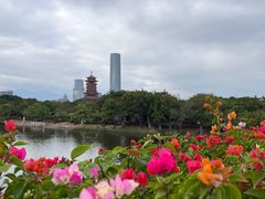 -厦门园林博览苑