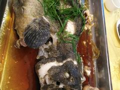 -龙溪海鲜酒家(溪涌店)