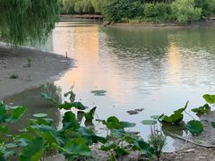 -金桥现代产业园区-停车场