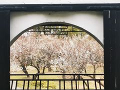 -司徒庙