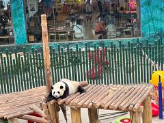 -沈阳森林动物园