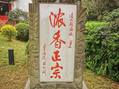 -泸州老窖景区