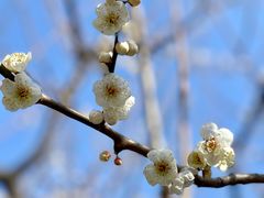 -静安雕塑公园