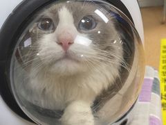 -宠颐生中康贝怡动物医院