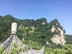 -王顺山国家森林公园