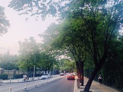 -婕妮璐超市 Jenny Lou’s Shop(三里屯店)