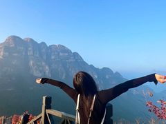 -万达广场(泰安泰山店)