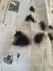 -龙文宝贝上门婴儿理发满月剃胎毛(总店)