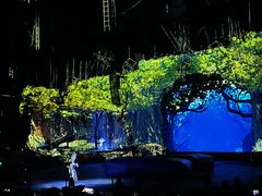 -广州长隆国际大马戏