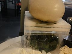 -汤城·料青山