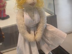 -济州岛泰迪熊博物馆