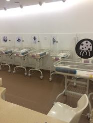 -海豚湾高端月子会所(黄浦店)