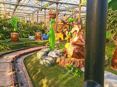 -南宫五洲植物乐园