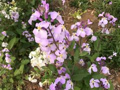 -永定河休闲森林公园