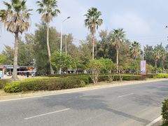 -北海金海湾红树林生态旅游区