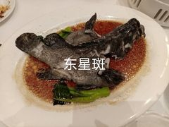 -顺峰(农展馆店)