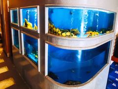 水产区-食神鱼头佛跳墙(百子湾旗舰店)