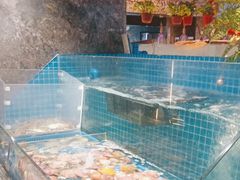 -曼格活海鲜·牛排自助(光明蓝鲸店)