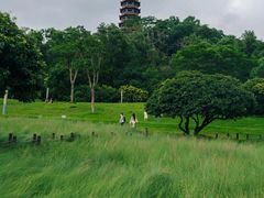 -红花山公园