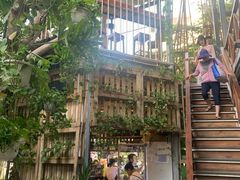 -Rainforest
