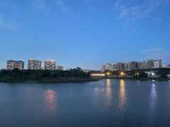 -立新湖公园