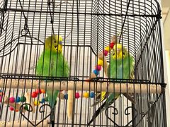 -瓦舍茶馆(聚源路店)