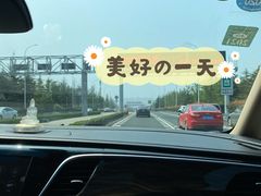 -胶州湾海底隧道