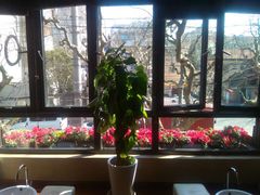 -Dragonfly悠庭·按摩Spa(新乐路店)