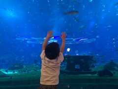 -亚特兰蒂斯•OSSIANO奥西亚诺海底餐厅