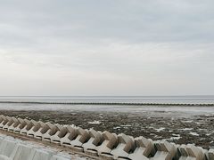 -南汇嘴观海公园