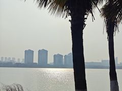 -九龙湖公园