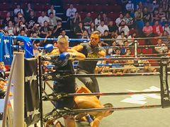 -芭提雅MAX泰拳馆