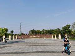 -王借岗森林公园