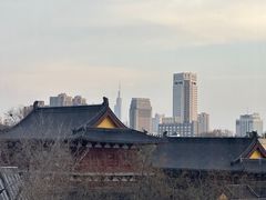 -七欣天香辣蟹火锅(南京建宁路大观天地店)