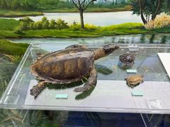 -国家自然博物馆