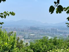 -风云岭森林公园