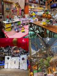 -卡通尼·Safari非洲探索乐园·生日会(金桥国际商业广场店)